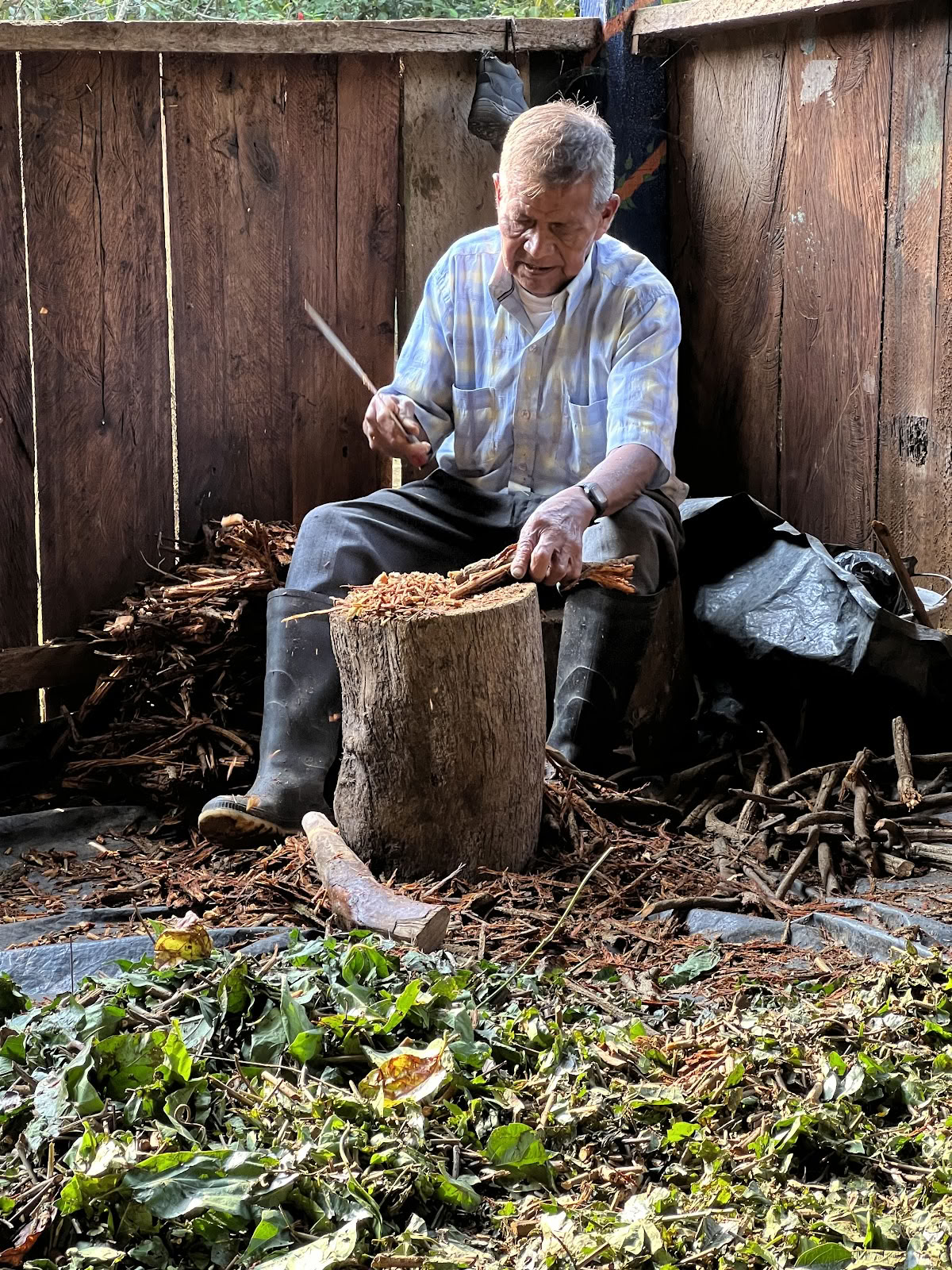 Ayahuasca-henki Kolumbiassa