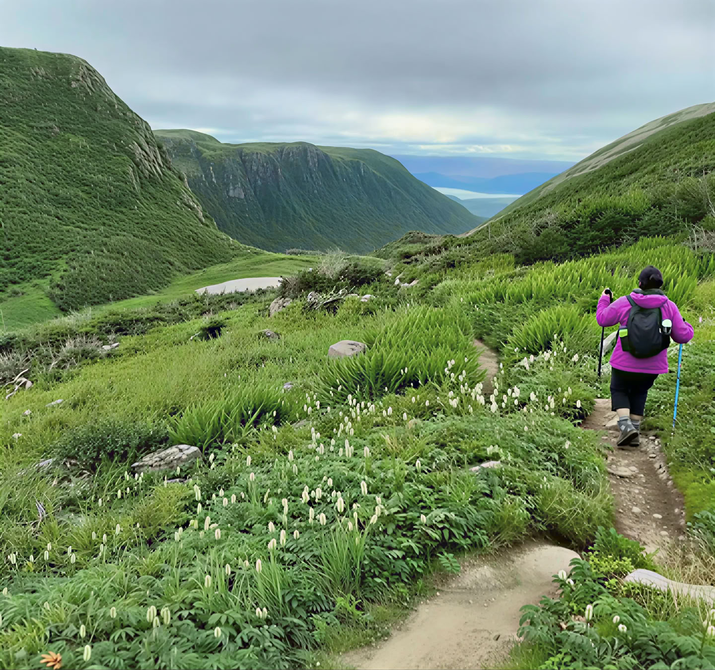 Transform Gros Morne Retreatit