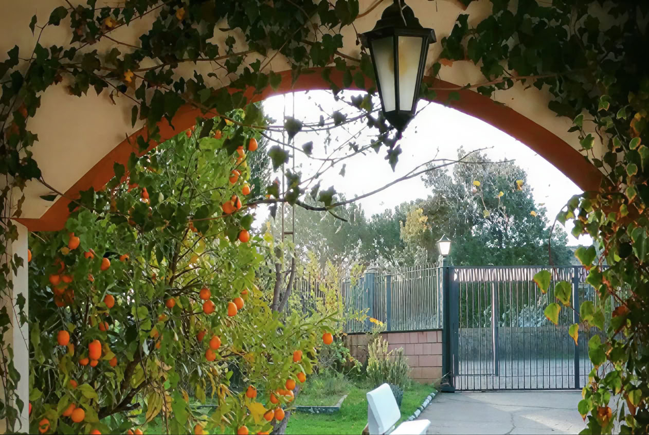 Casa Colibrí (holistinen terveys)