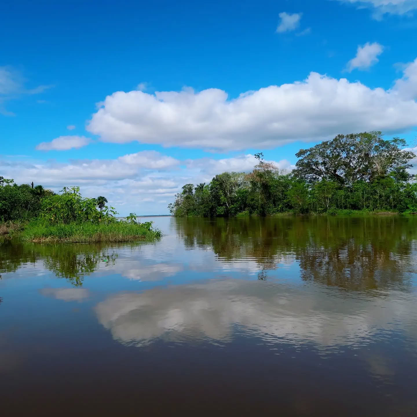 Amazonasin kuu