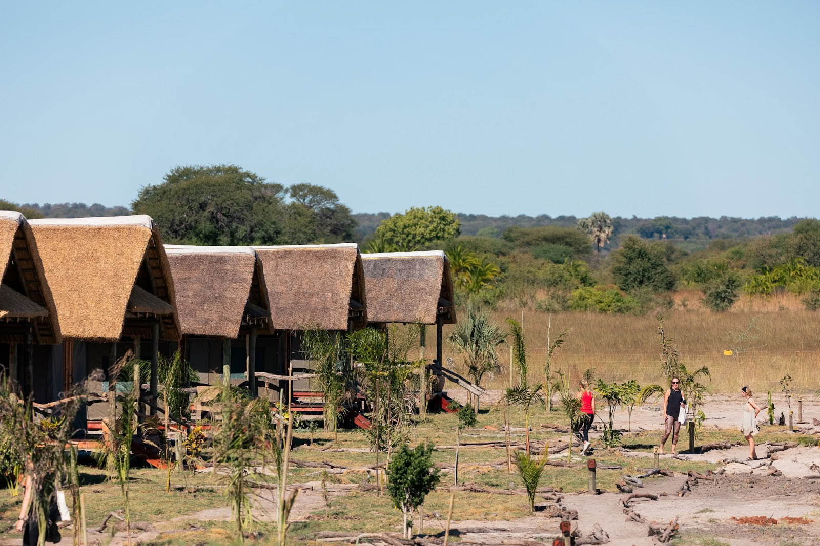 Munga-tasangot