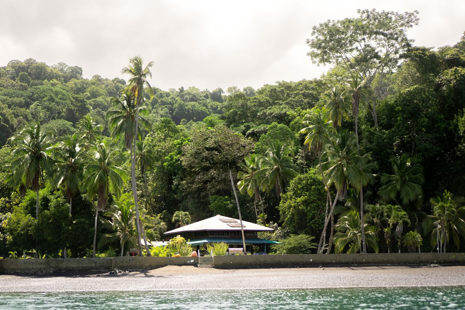 Pandorita Costa Rica - Ayahuasca-työpajat