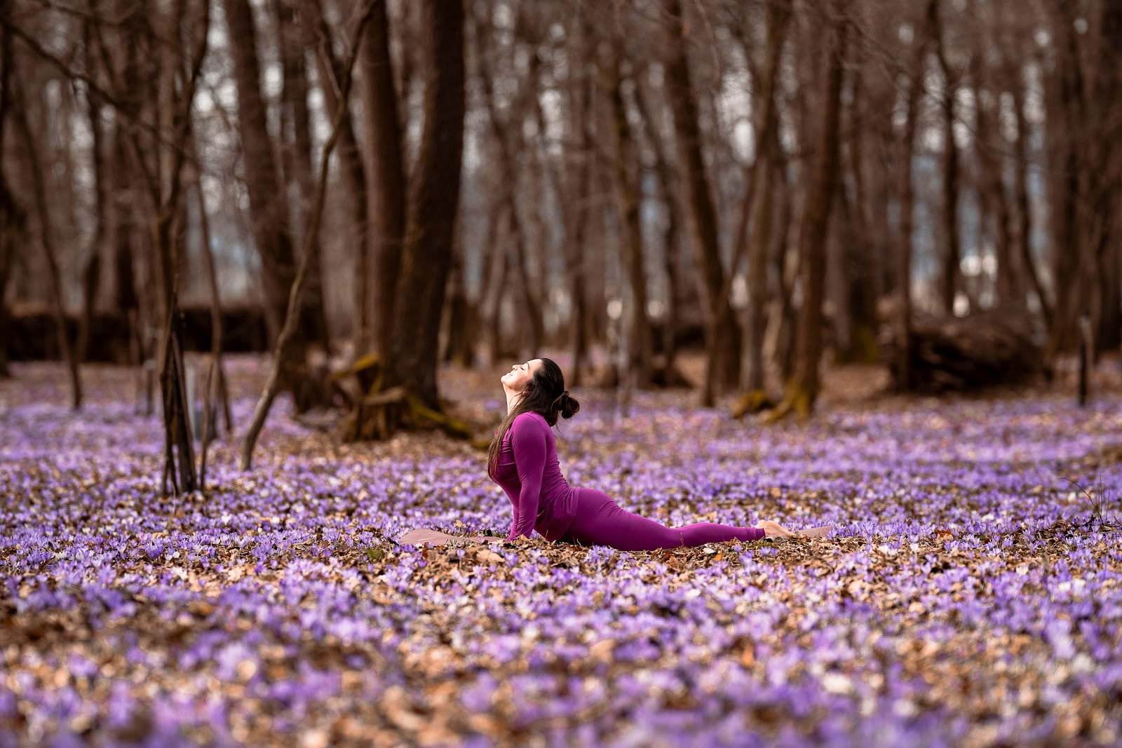 Luontoyoga