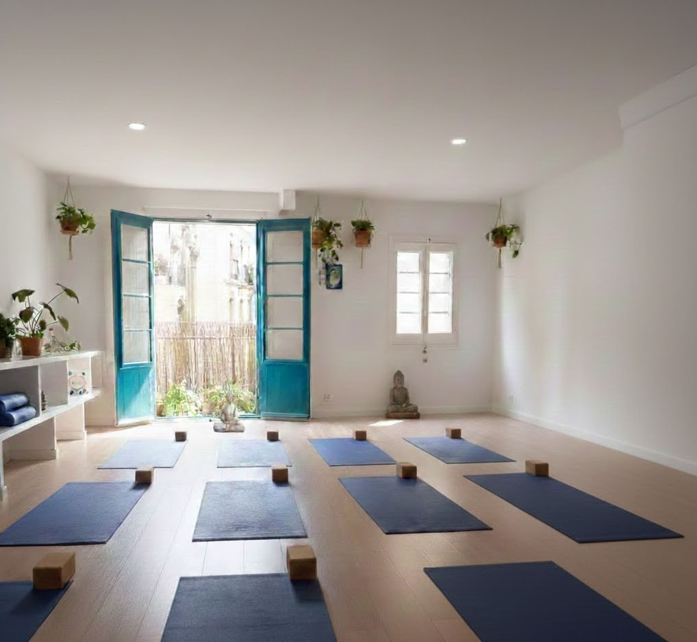 Blaumeer Yoga Studio Christine Pohnin johdolla