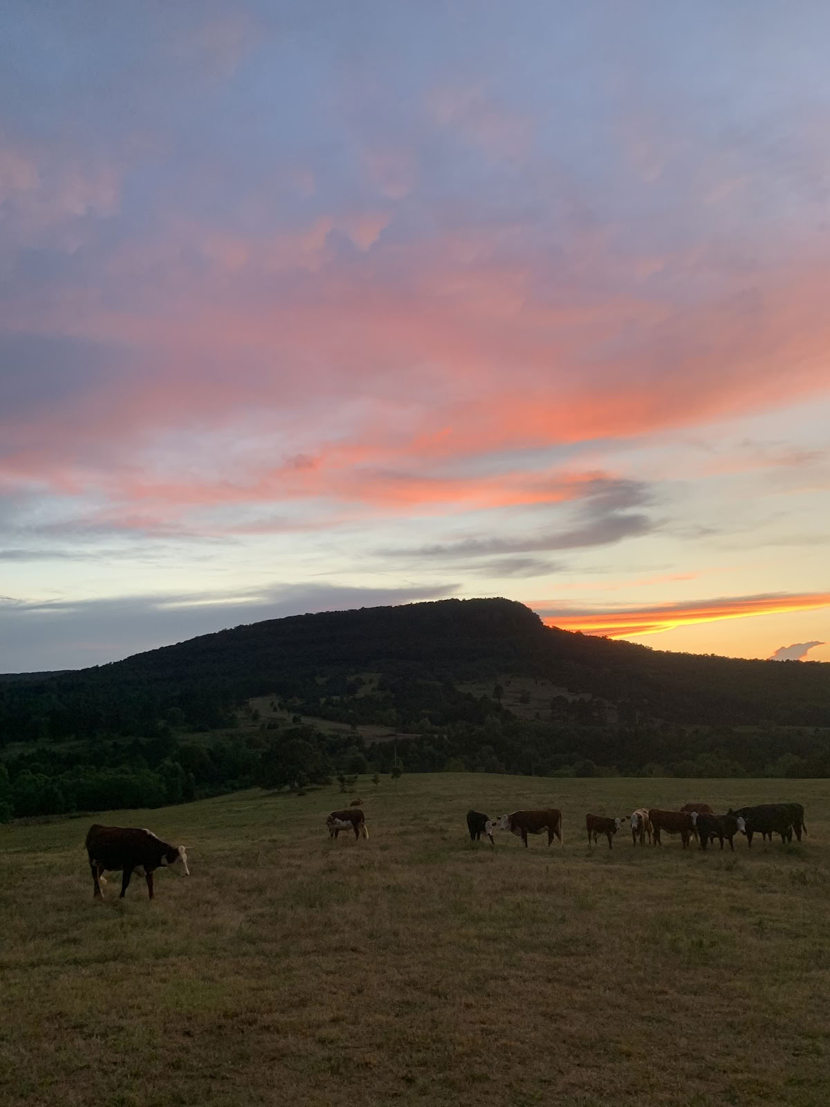 Leiri Iron Bluffs