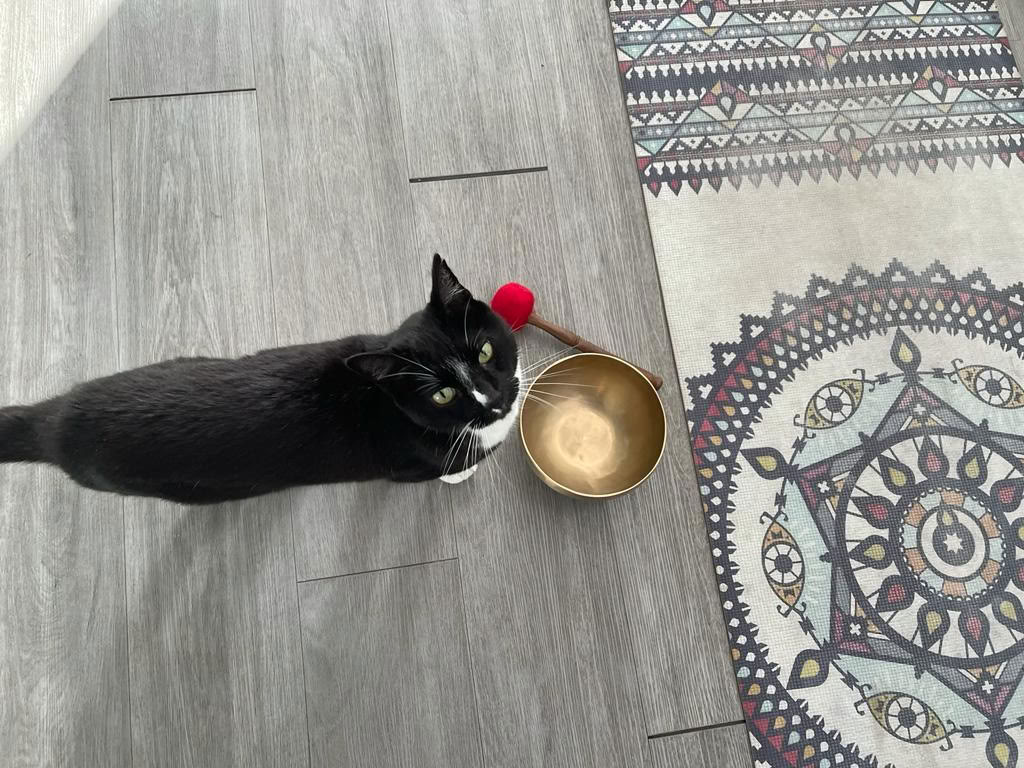 Lähde