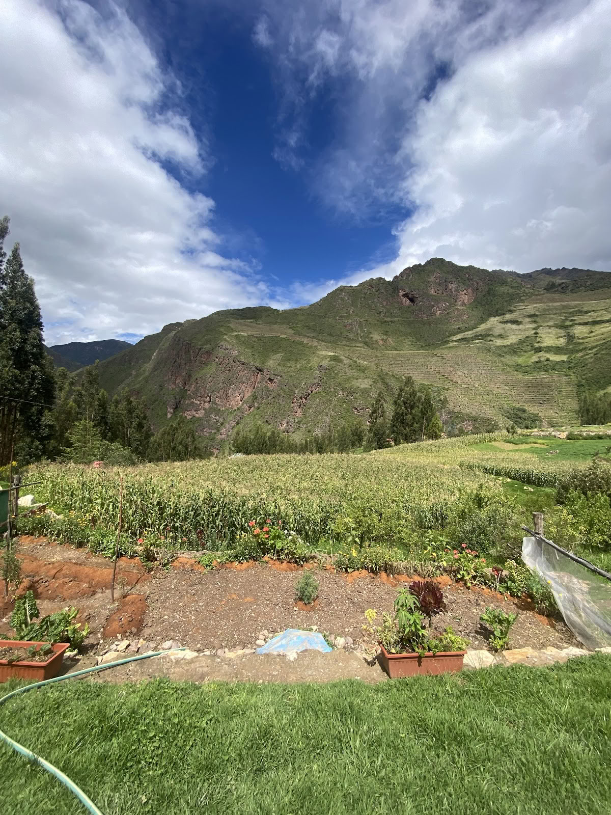 Ayahuasca-henkinen keskus Cusco