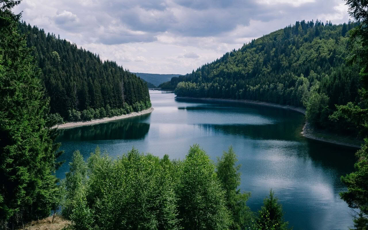 Eutonia-retriitit