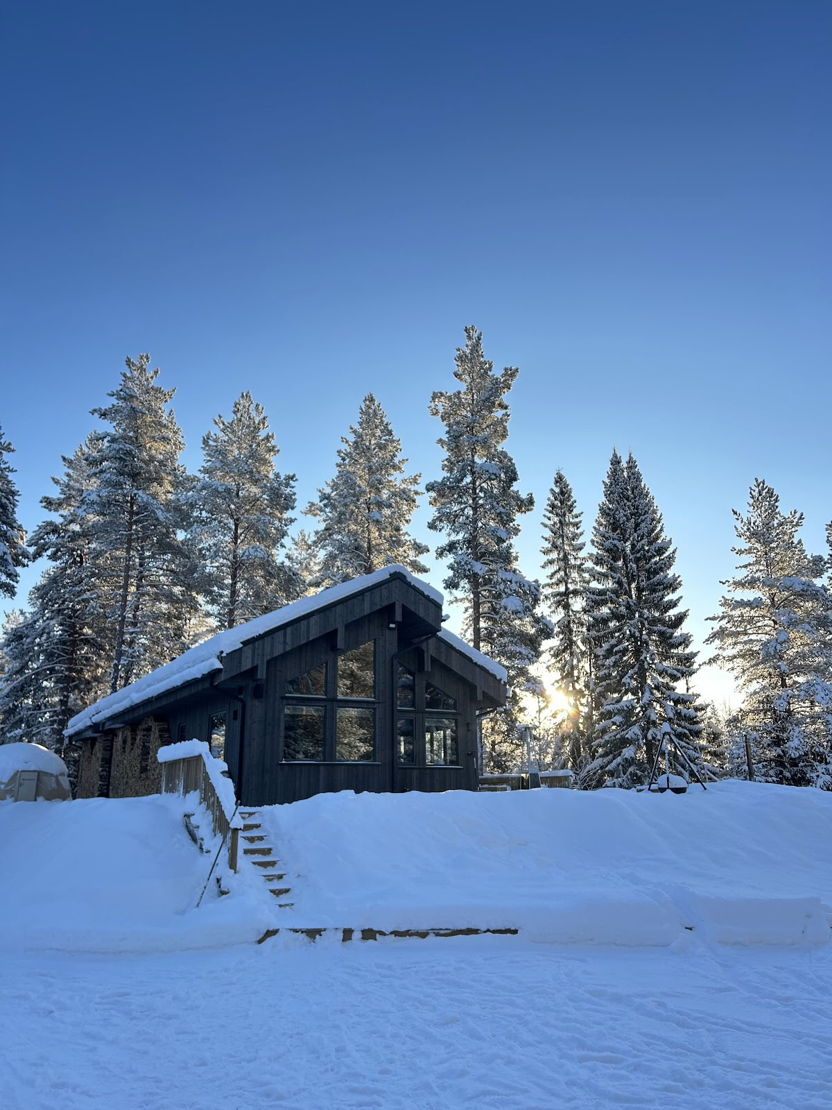 Metsävetäytyminen