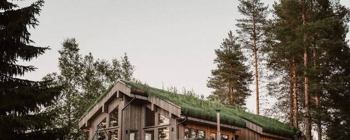Metsävetäytyminen
