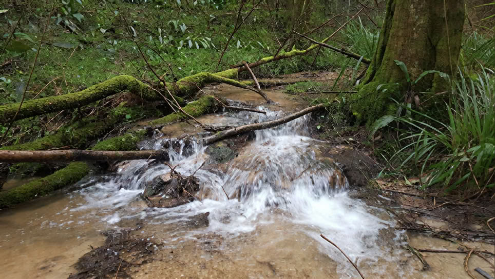SoulSimple Cotswoldsin retriitit ja luonnonkylpylä