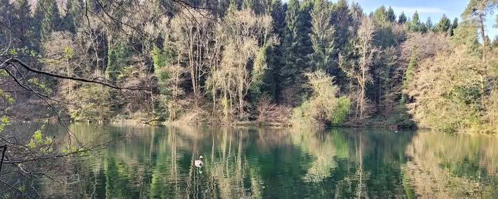 SoulSimple Cotswoldsin retriitit ja luonnonkylpylä