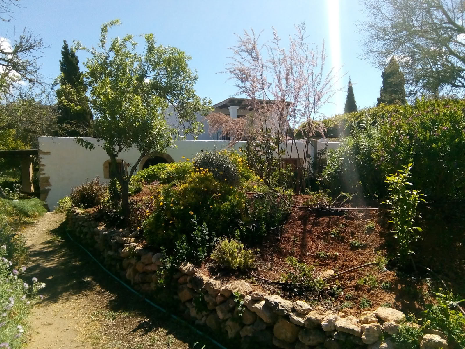 Ibizan liikkuvat taiteet
