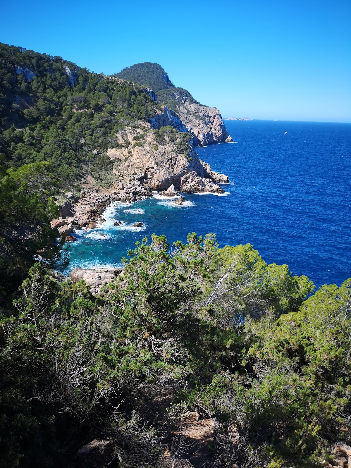 Ibizan liikkuvat taiteet