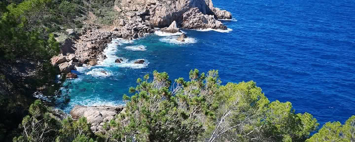 Ibizan liikkuvat taiteet