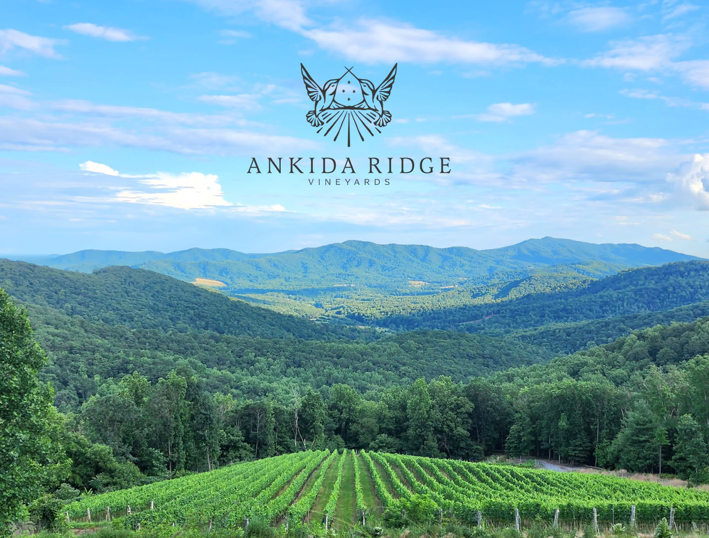 Ankida Ridgen viinitarhat