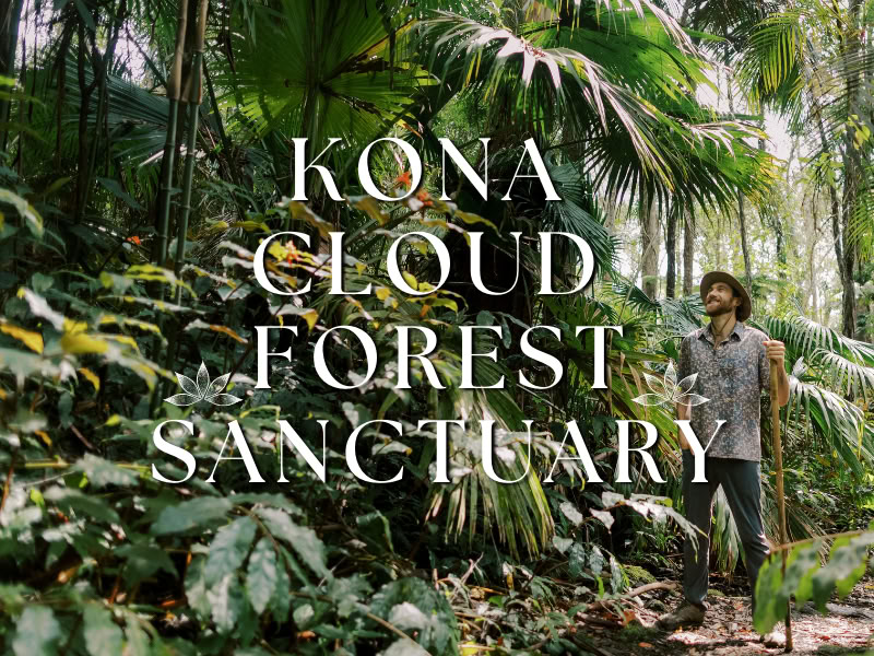 Kona Cloud Forest -pyhäkkö