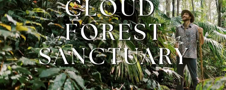 Kona Cloud Forest -pyhäkkö