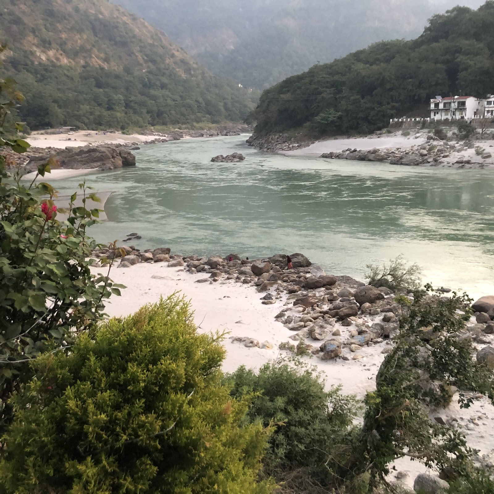 Himalajan joogaopisto Rishikeshissa