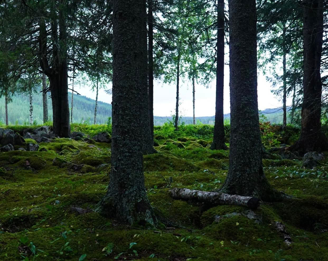 Ei yhteyttä AB
