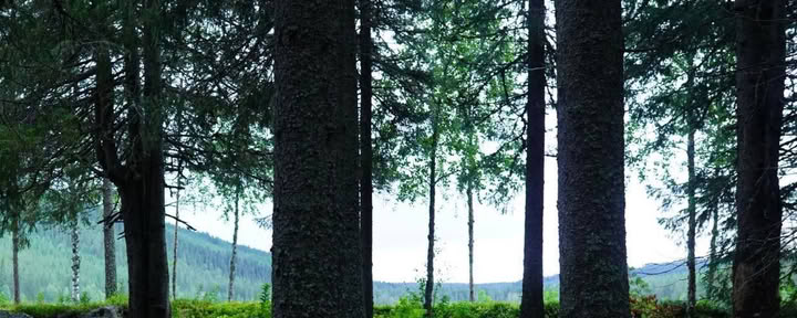 Ei yhteyttä AB