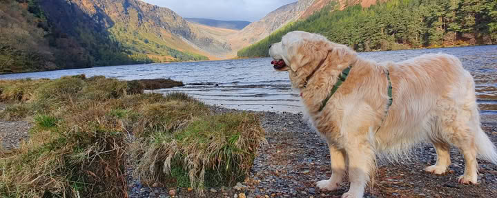 Glendaloughin pyhäkkö