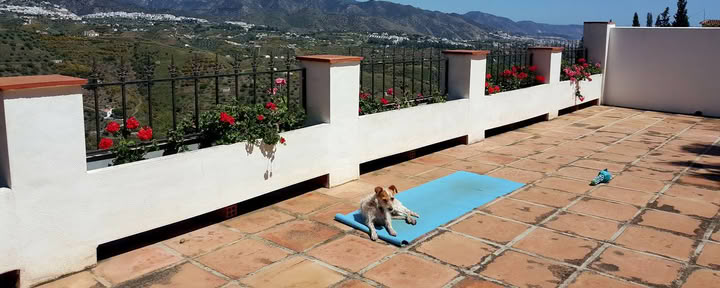 Joogaloma Paradiso. La Rejana