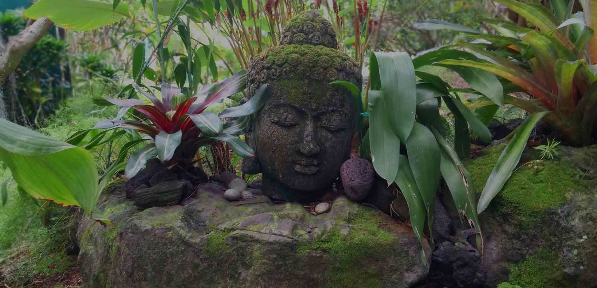 Gingerhill Farm Retreat