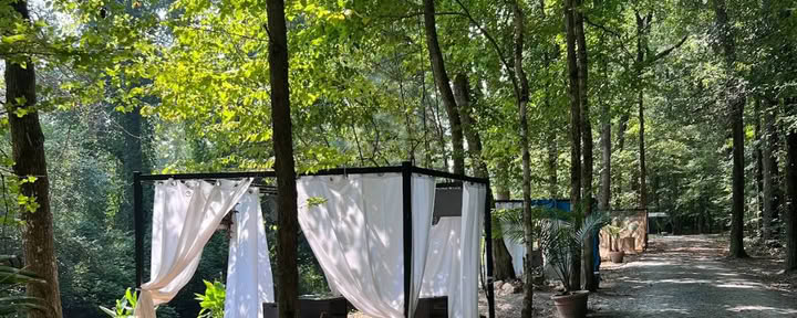 Paratiisipuisto Atlanta