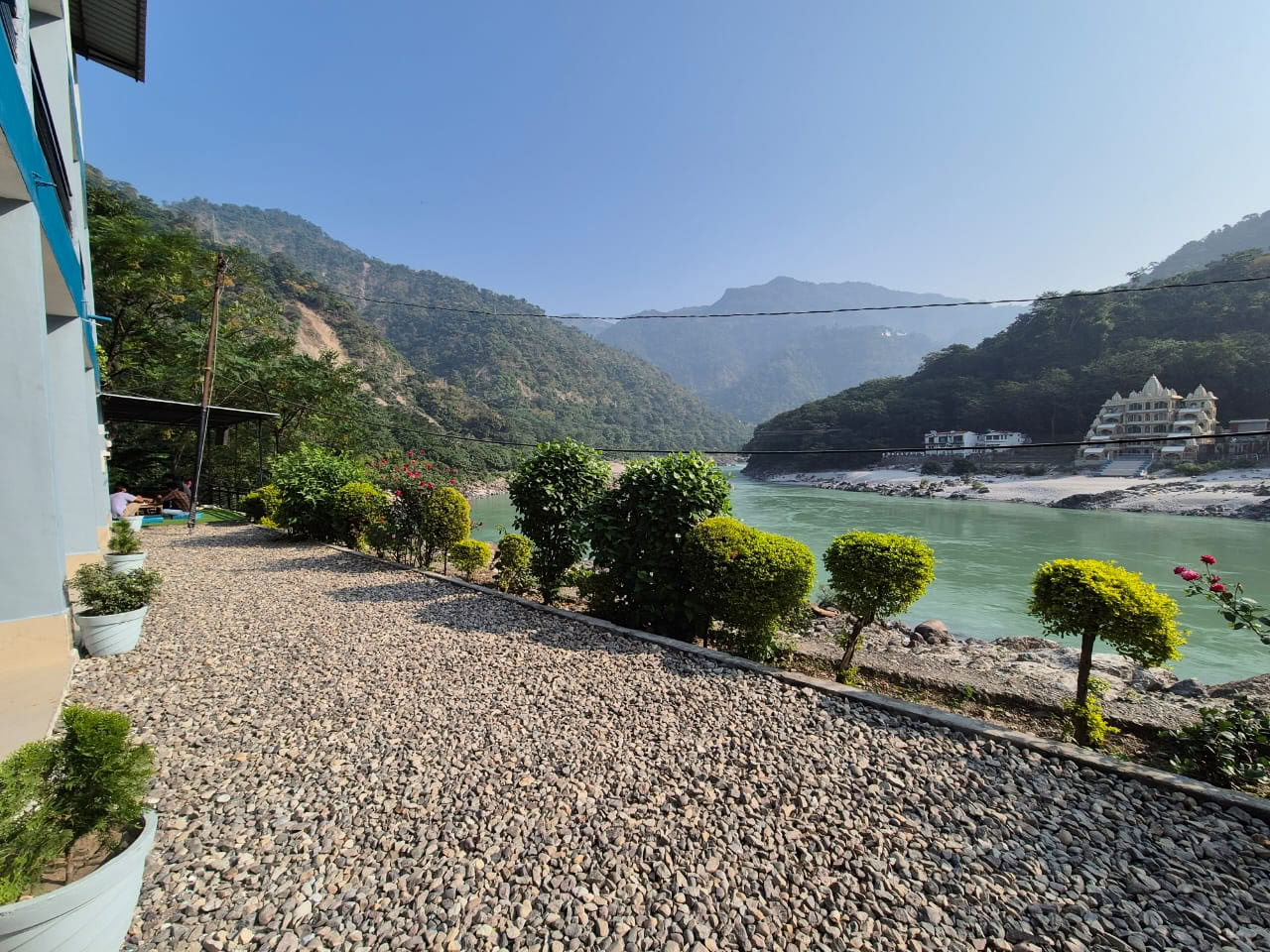 Himalajan puu Ganges-joen rannalla, Rishikesh