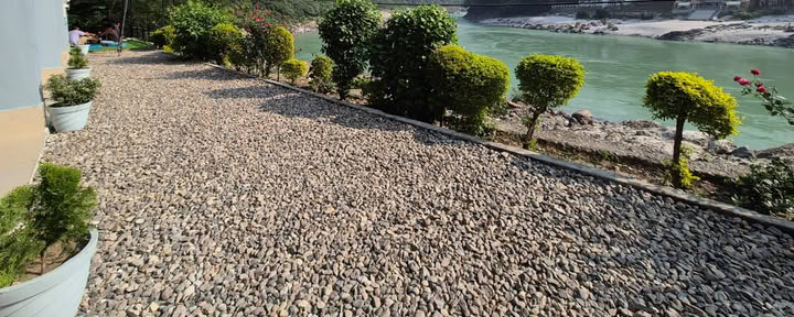 Himalajan puu Ganges-joen rannalla, Rishikesh