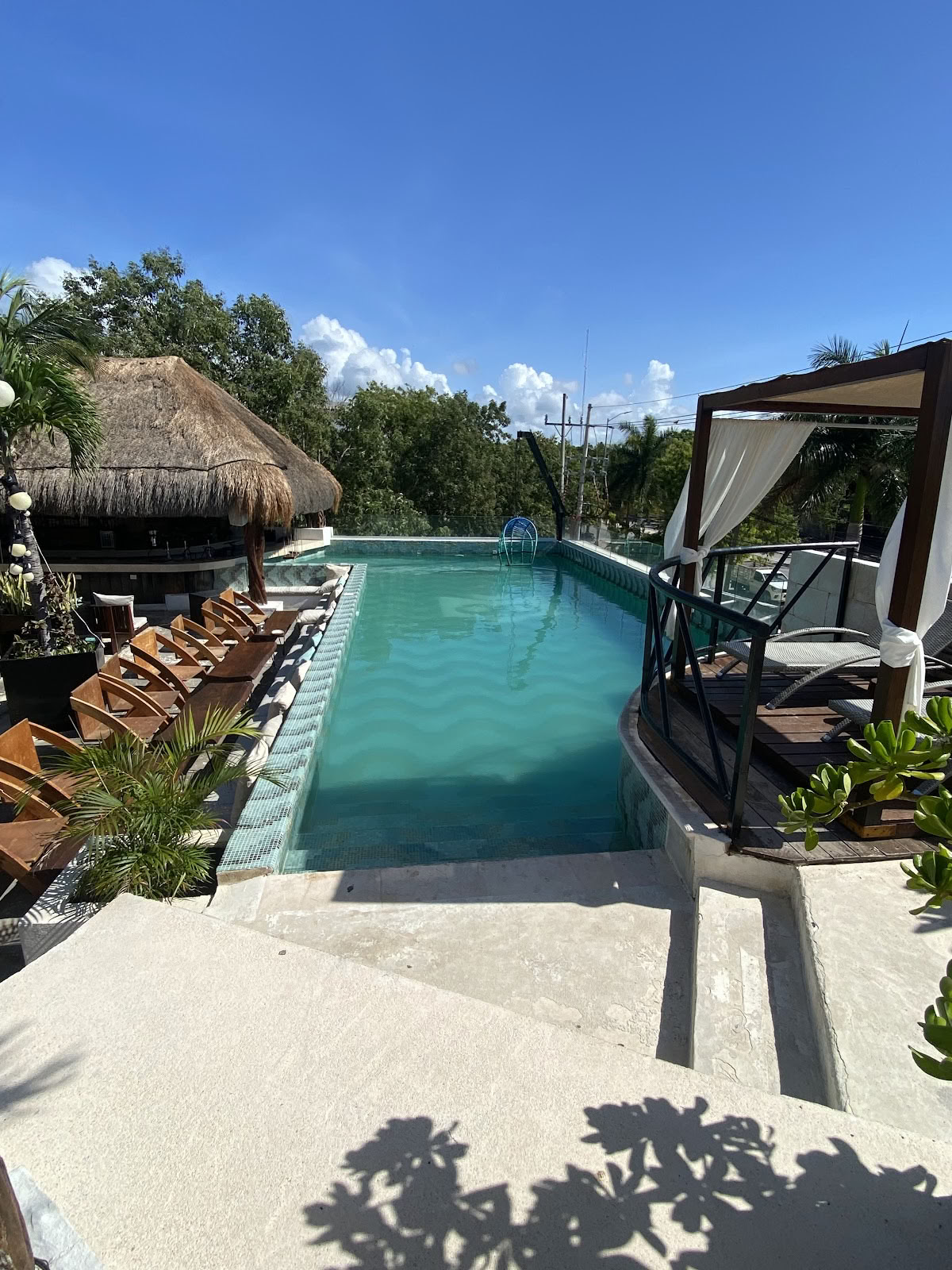 Mayan Monkey Hostel Tulum