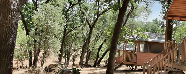 Om Cabin - Private (1 twin bed)