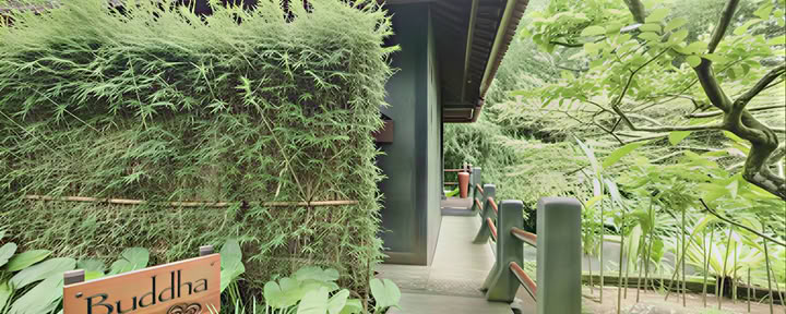 Buddhan bungalow