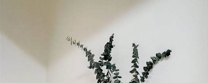 Susanin huone