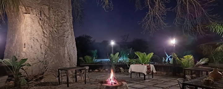 Majahuone X